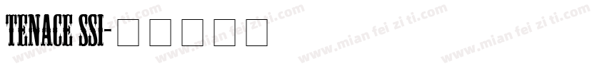 Tenace SSi字体转换